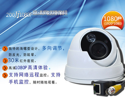 【200萬網(wǎng)絡(luò)攝像機(jī) 頭 1080P高清 手機(jī)CMS監(jiān)控 半球ip camera金屬殼】價格,廠家,圖片,監(jiān)控攝像機(jī)/攝像頭,東莞市永之興電子科技-