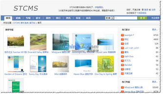 音樂類CMS應(yīng)更注重用戶分享與互動 以STCMS為例